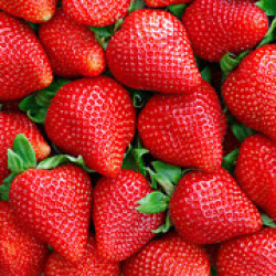 Strawberries