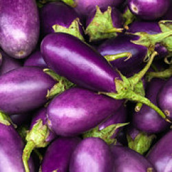 Eggplant