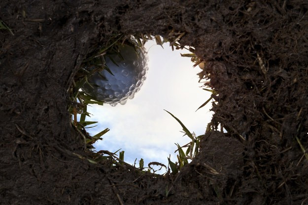 How does this picture make you feel?