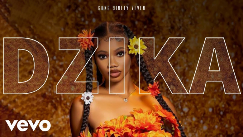 Ytiz - Dzika (Official Audio) ft. Delroy HKD, Maggikal-Zimmagazine