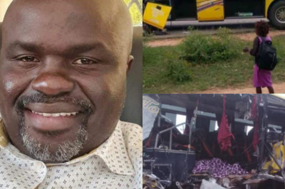 Rimbi bus tours takes government to court