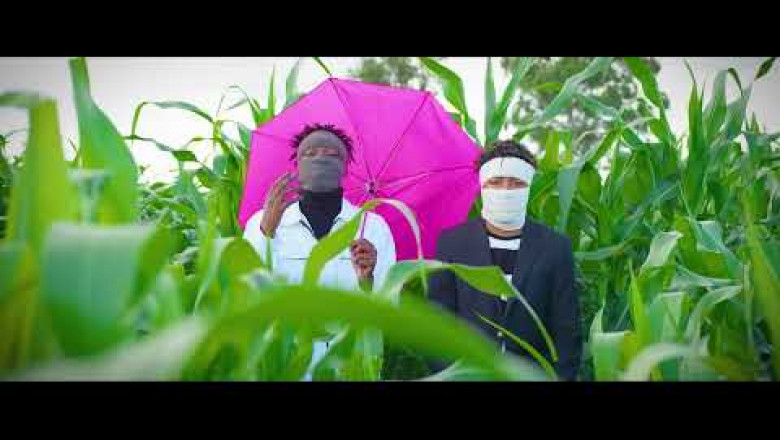 Tha bees - Time (official video)