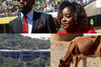 Update on Bona Mugabe’s divorce-Zimmagazine