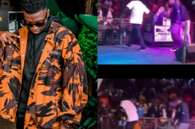 Voltz Jt Chased Away by Fans in Mbare Over Poor Performance