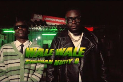 Shinsoman ft Nutty O - Wale Wale ( Official Video )-Zimmagazine