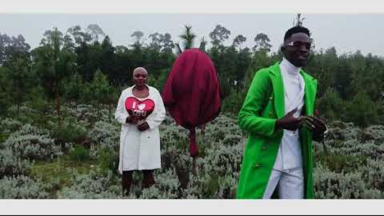 JAH SIGNAL ft MR BROWN- USACHEUKA (Official Video )-Zimmagazine