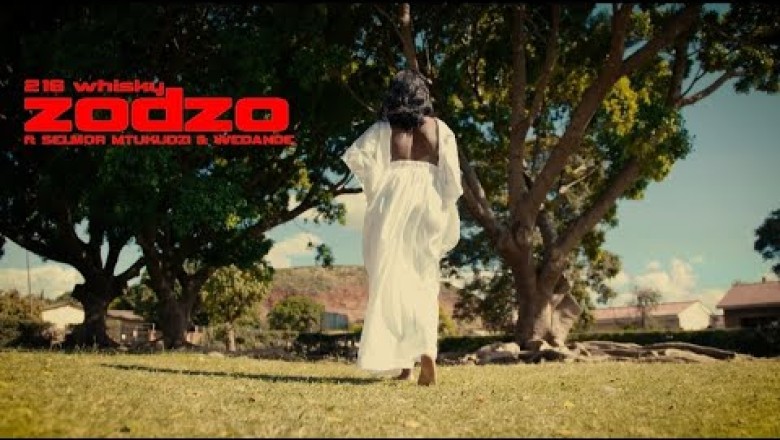 216 Whisky - Zodzo ft  Selmor Mtukudzi & WeDande-Zimmagazine